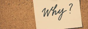 De "waarom"-fase.