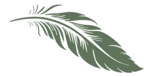 Emoties en gevoelens