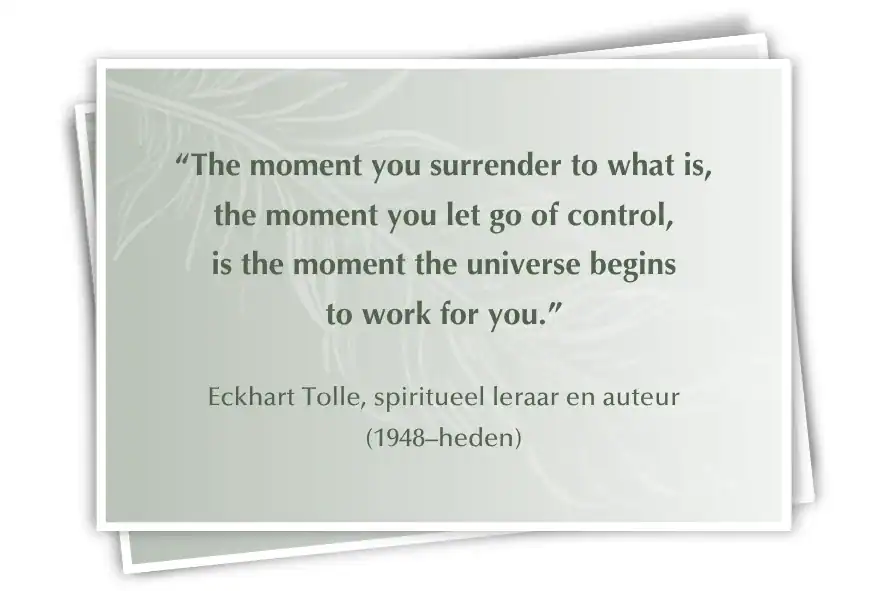 De kunst van toelaten