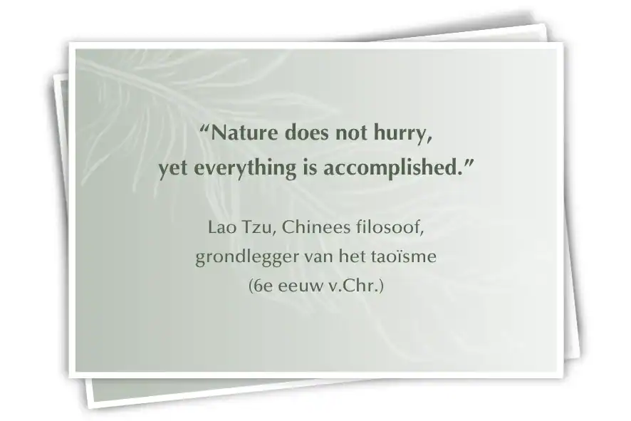 Je natuurlijke ritme volgen