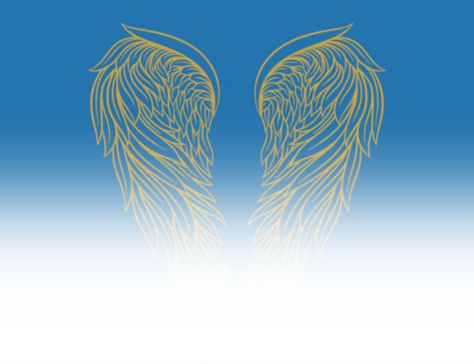 ELLENONLINE-BOEKEN_De-beschermengel