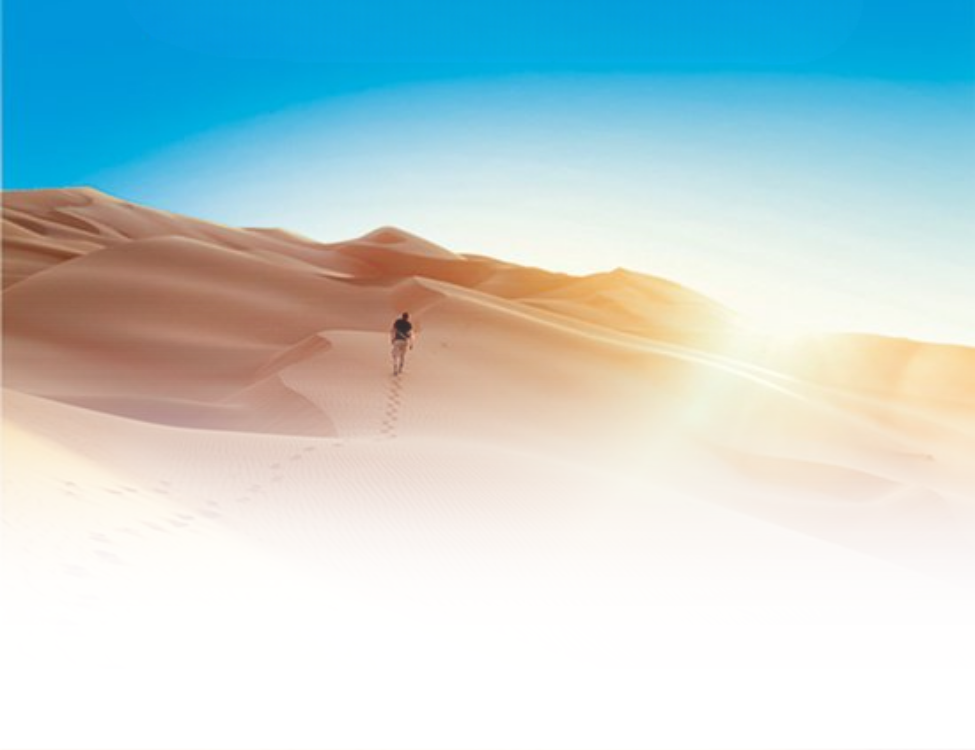 ELLENONLINE-BOEKEN_De-bron-is-de-weg