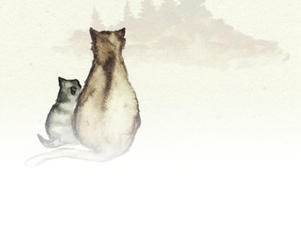 ELLENONLINE-BOEKEN_De-reis-van-de-wijze-kat