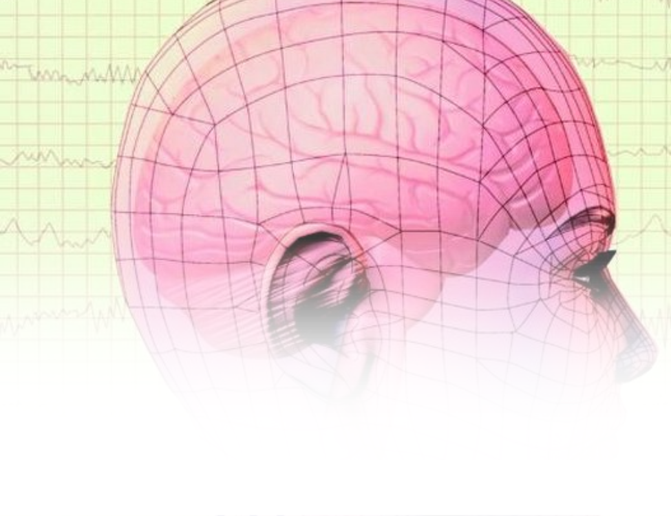 ELLENONLINE-BOEKEN_De-vrouwelijke-hersenen