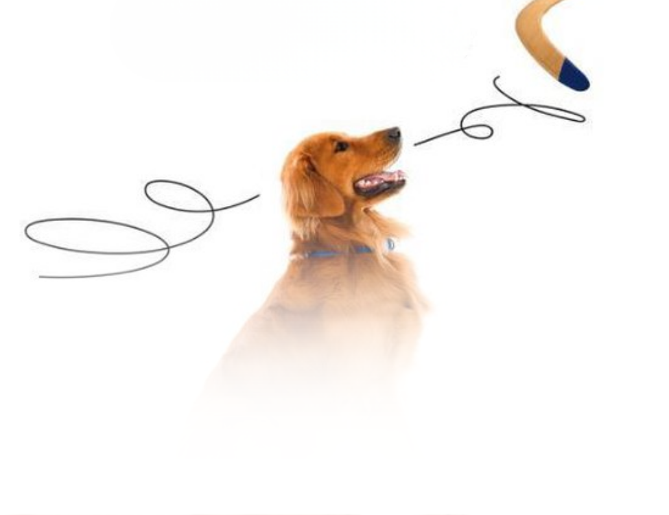 ELLENONLINE-BOEKEN_De-wet-van-snuf