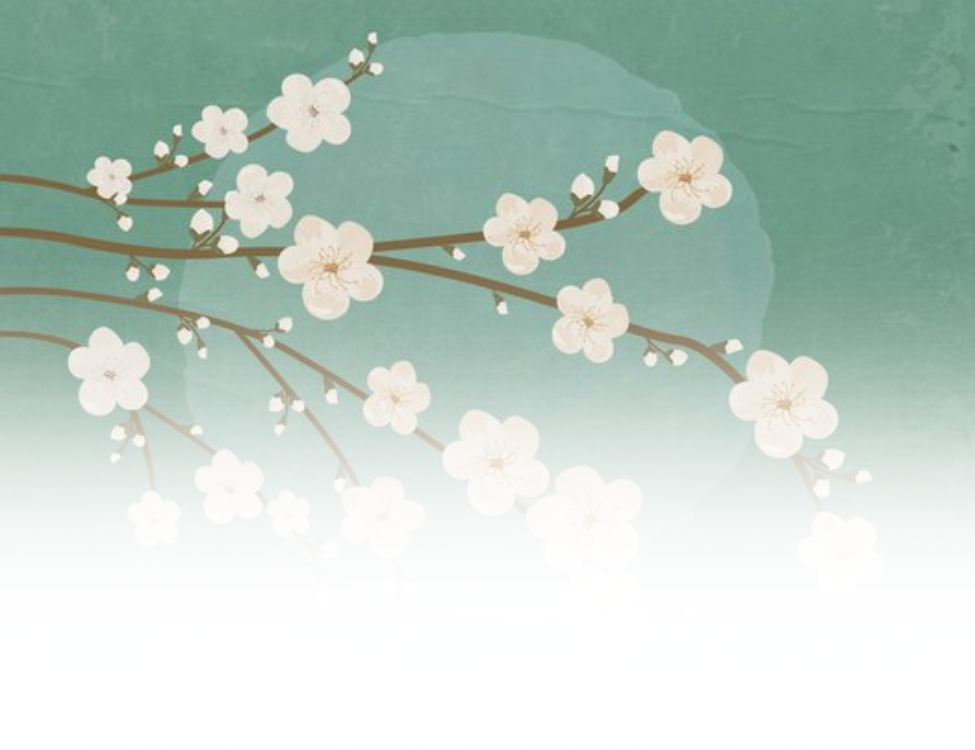 ELLENONLINE-BOEKEN_Ikigai