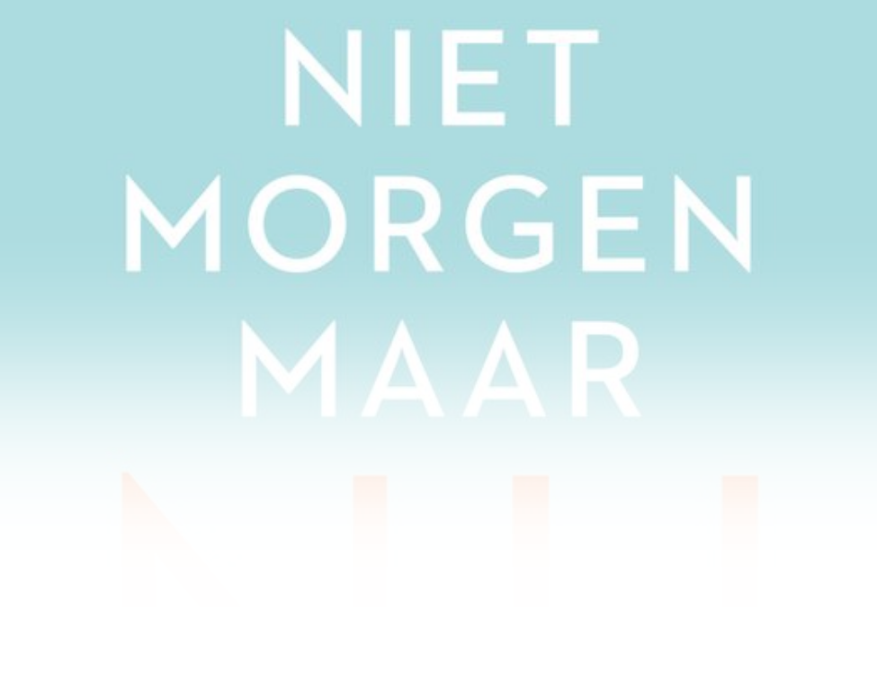ELLENONLINE-BOEKEN_Niet-morgen-maar-nu