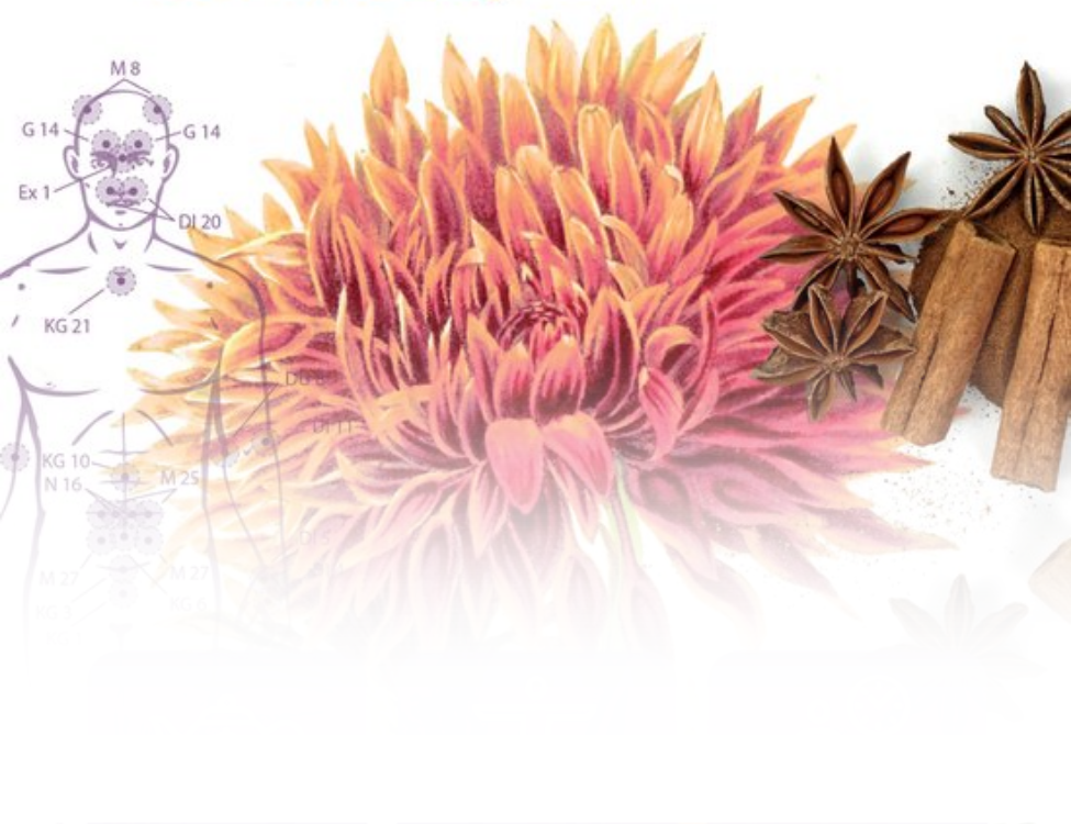 ELLENONLINE-BOEKEN_Traditionele-chinese-geneeskunde