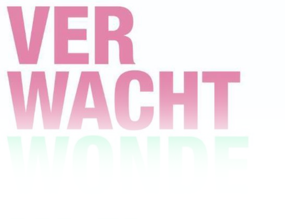 ELLENONLINE-BOEKEN_Verwacht-wonderen