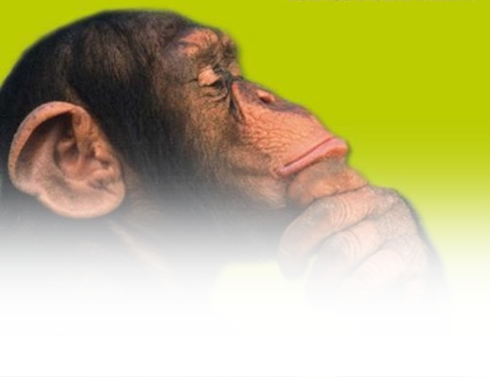 ELLENONLINE-BOEKEN_Waarom-chimpansees-niet-kunnen-praten