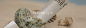 Omgaan-met-vakantiegeld-O